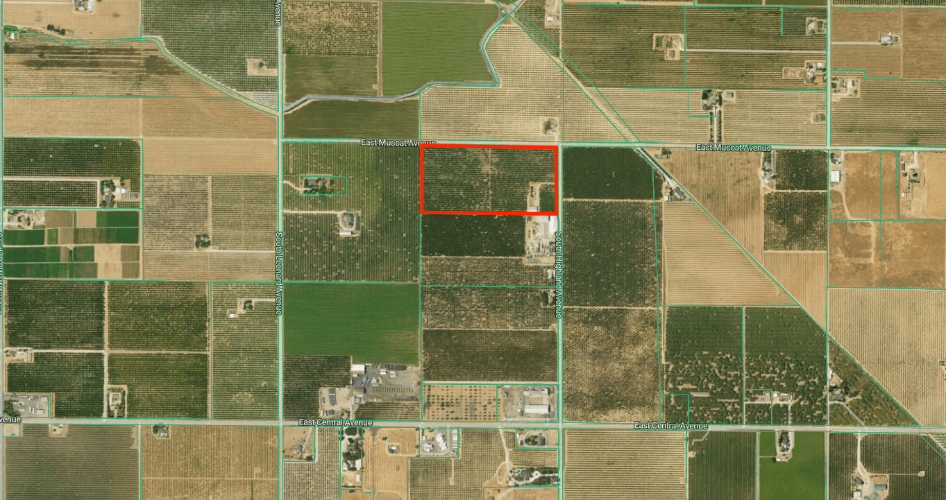 20AC East Muscat Treefruit Ranch
