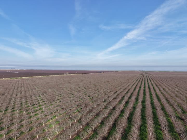 Almond & Pistachio Orchard – 579.13 Acres